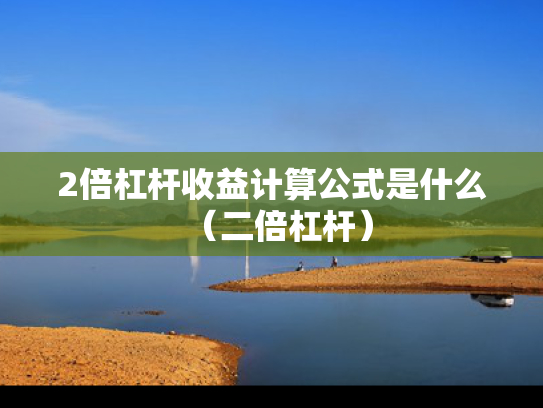 2倍杠杆收益计算公式是什么（二倍杠杆）