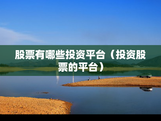 股票有哪些投资平台（投资股票的平台）