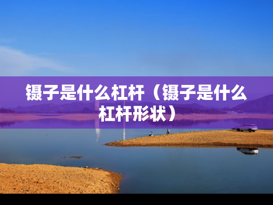 镊子是什么杠杆（镊子是什么杠杆形状）
