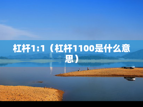 杠杆1:1（杠杆1100是什么意思）