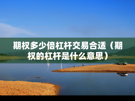 期权多少倍杠杆交易合适（期权的杠杆是什么意思）