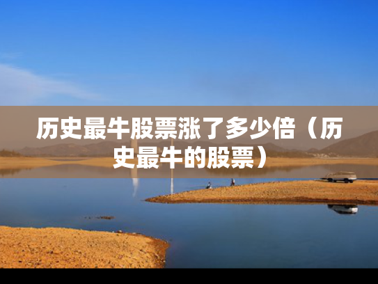 历史最牛股票涨了多少倍（历史最牛的股票）