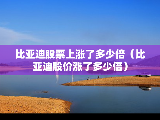 比亚迪股票上涨了多少倍（比亚迪股价涨了多少倍）