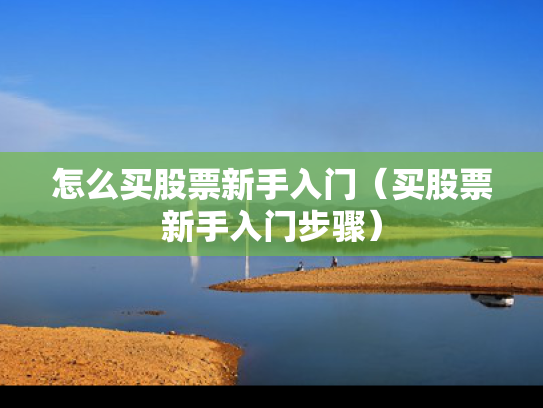 怎么买股票新手入门（买股票新手入门步骤）