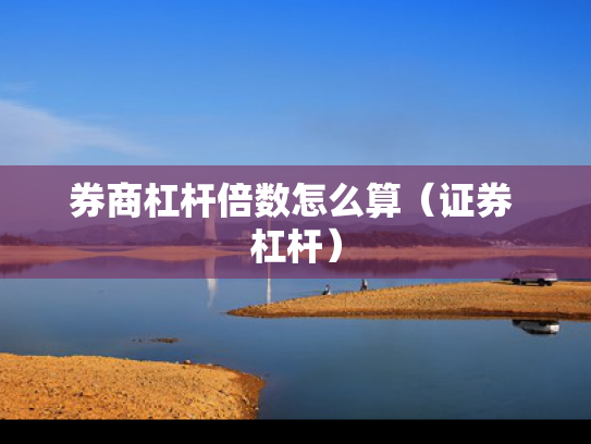 券商杠杆倍数怎么算（证券 杠杆）