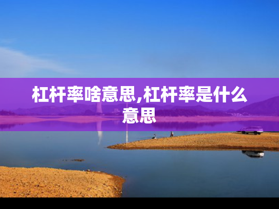 杠杆率啥意思,杠杆率是什么意思