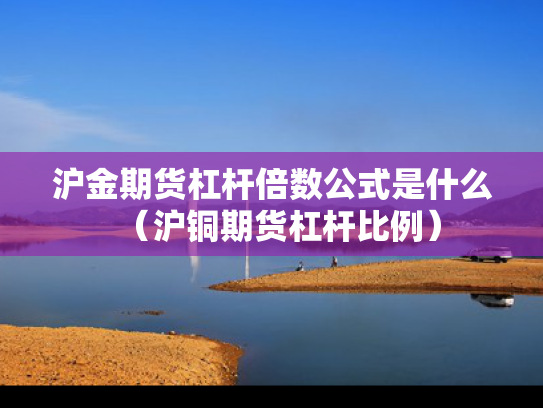 沪金期货杠杆倍数公式是什么（沪铜期货杠杆比例）