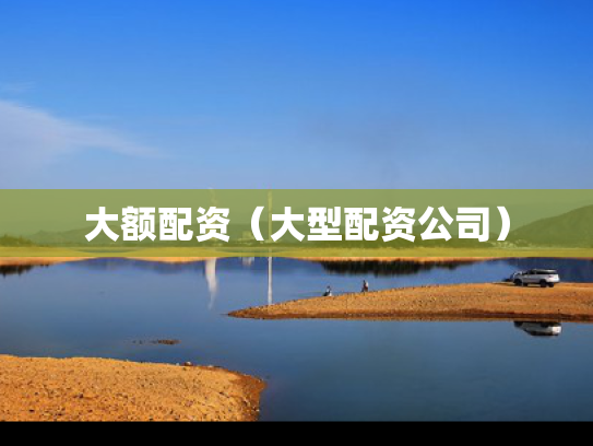 大额配资（大型配资公司）