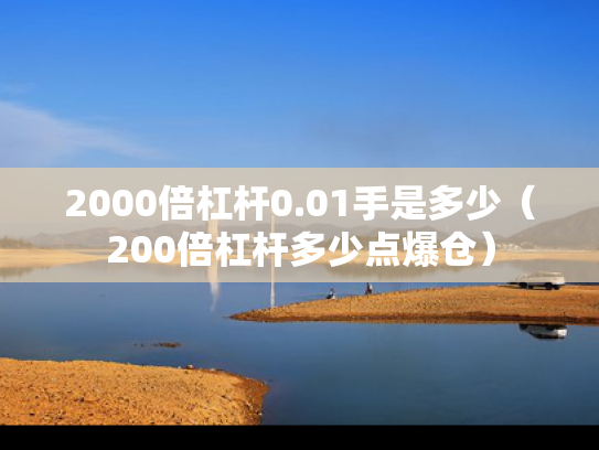 2000倍杠杆0.01手是多少（200倍杠杆多少点爆仓）