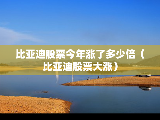 比亚迪股票今年涨了多少倍（比亚迪股票大涨）