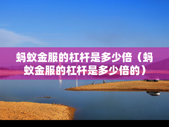 蚂蚁金服的杠杆是多少倍（蚂蚁金服的杠杆是多少倍的）