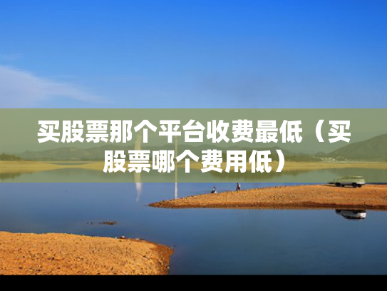 买股票那个平台收费最低（买股票哪个费用低）