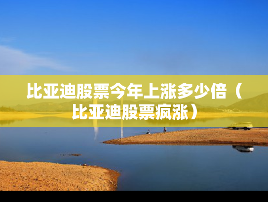比亚迪股票今年上涨多少倍（比亚迪股票疯涨）