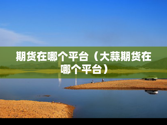 期货在哪个平台（大蒜期货在哪个平台）