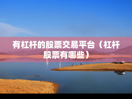 有杠杆的股票交易平台（杠杆股票有哪些）