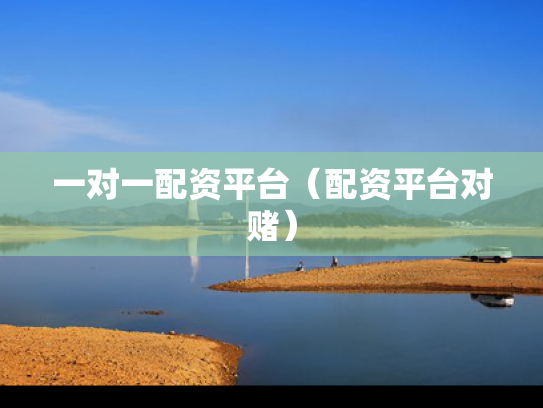 一对一配资平台（配资平台对赌）
