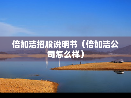 倍加洁招股说明书（倍加洁公司怎么样）