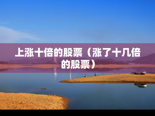 上涨十倍的股票（涨了十几倍的股票）