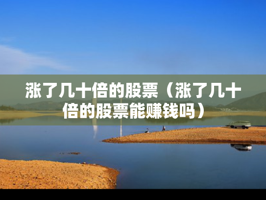 涨了几十倍的股票（涨了几十倍的股票能赚钱吗）