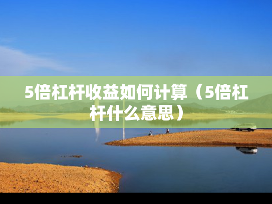 5倍杠杆收益如何计算（5倍杠杆什么意思）