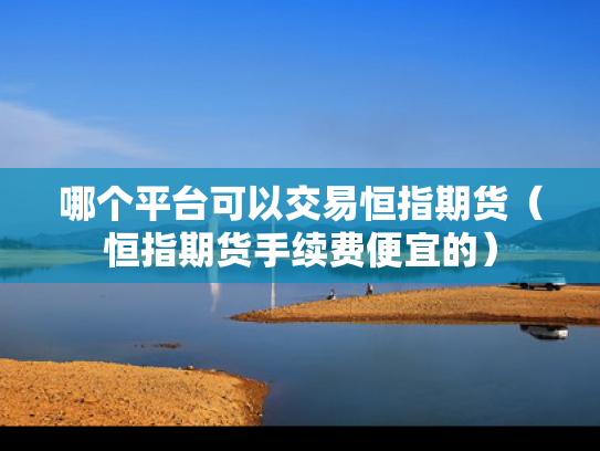 哪个平台可以交易恒指期货（恒指期货手续费便宜的）