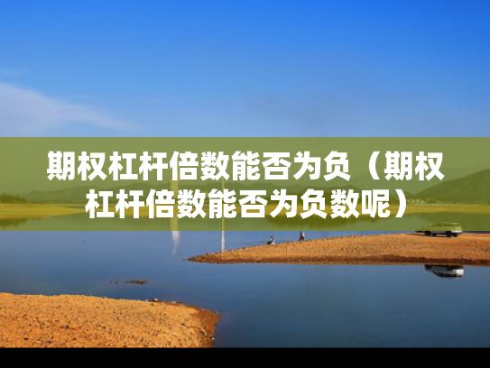 期权杠杆倍数能否为负（期权杠杆倍数能否为负数呢）