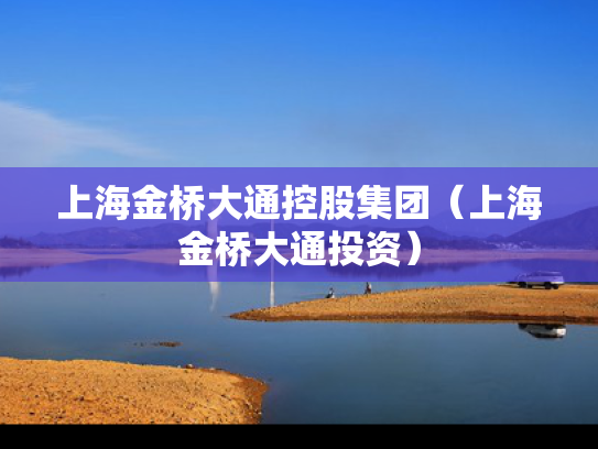 上海金桥大通控股集团（上海金桥大通投资）