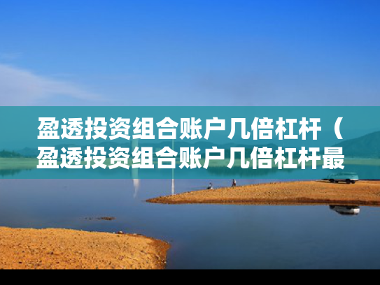 盈透投资组合账户几倍杠杆（盈透投资组合账户几倍杠杆最大）