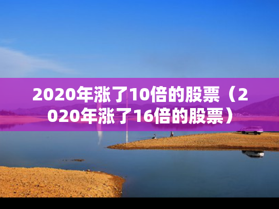 2020年涨了10倍的股票（2020年涨了16倍的股票）