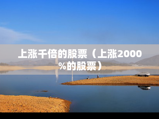 上涨千倍的股票（上涨2000%的股票）