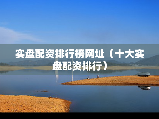 实盘配资排行榜网址（十大实盘配资排行）