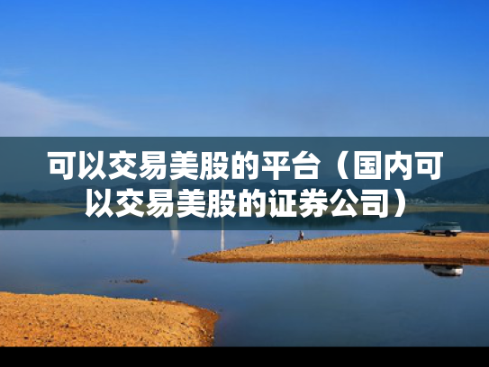 可以交易美股的平台（国内可以交易美股的证券公司）