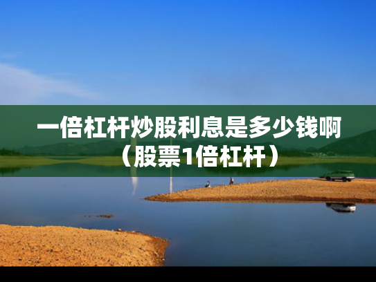 一倍杠杆炒股利息是多少钱啊（股票1倍杠杆）