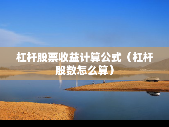 杠杆股票收益计算公式（杠杆股数怎么算）