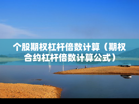个股期权杠杆倍数计算（期权合约杠杆倍数计算公式）