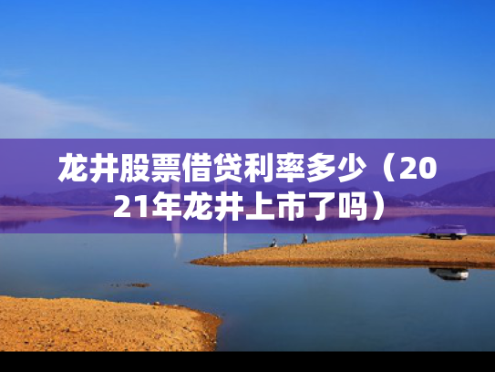 龙井股票借贷利率多少（2021年龙井上市了吗）