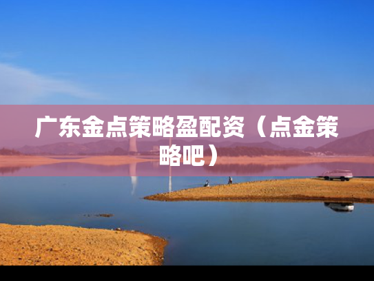 广东金点策略盈配资（点金策略吧）