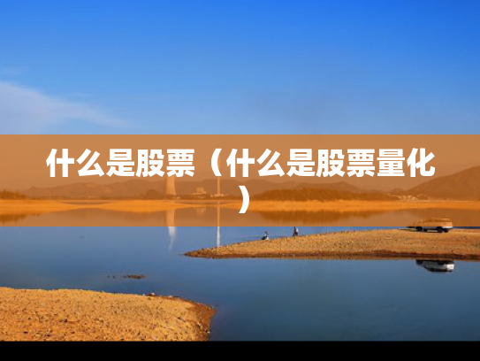 什么是股票（什么是股票量化）