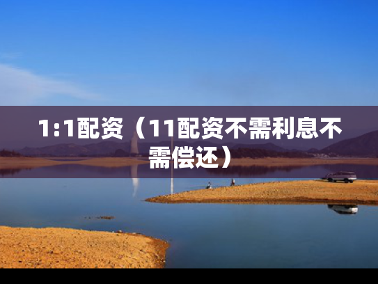 1:1配资（11配资不需利息不需偿还）