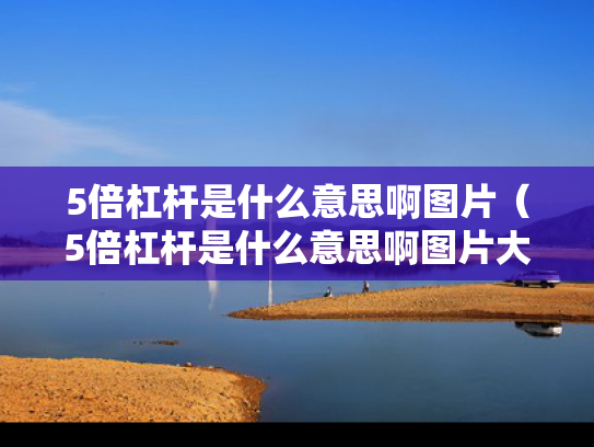 5倍杠杆是什么意思啊图片（5倍杠杆是什么意思啊图片大全）