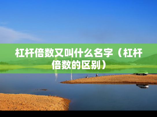 杠杆倍数又叫什么名字（杠杆倍数的区别）