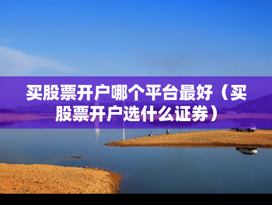 买股票开户哪个平台最好（买股票开户选什么证券）