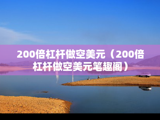 200倍杠杆做空美元（200倍杠杆做空美元笔趣阁）