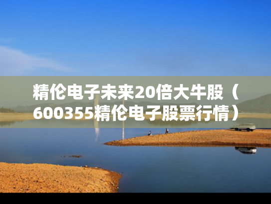 精伦电子未来20倍大牛股（600355精伦电子股票行情）