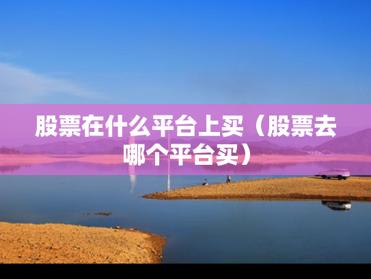 股票在什么平台上买（股票去哪个平台买）