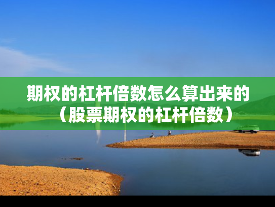 期权的杠杆倍数怎么算出来的（股票期权的杠杆倍数）