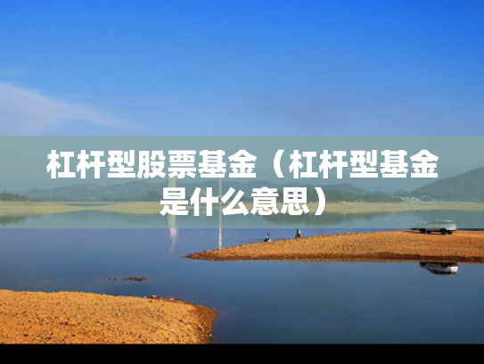 杠杆型股票基金（杠杆型基金是什么意思）