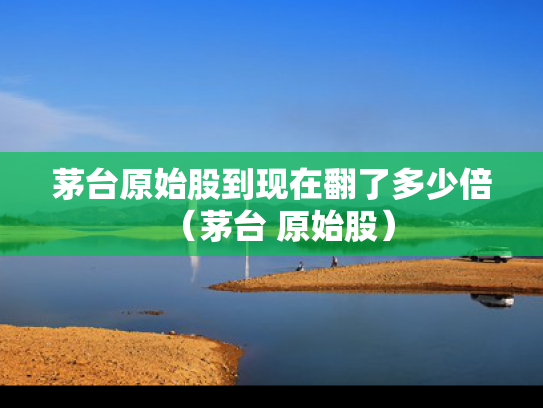 茅台原始股到现在翻了多少倍（茅台 原始股）