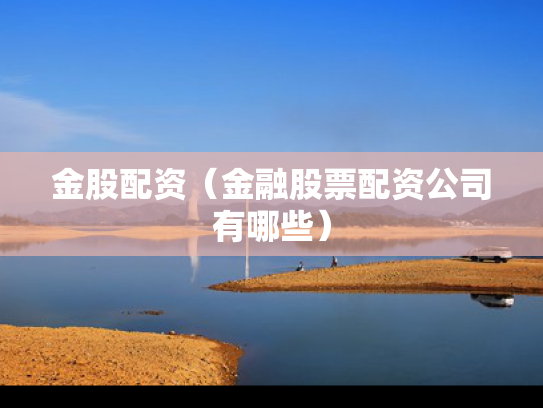 金股配资（金融股票配资公司有哪些）