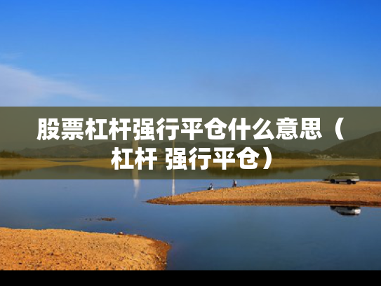 股票杠杆强行平仓什么意思（杠杆 强行平仓）